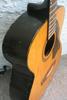 H1227_12strings_04.jpg
391x586 - (27 kb)