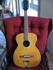 H1230_12strings_05.jpg
300x400 - (23 kb)