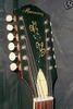 H1230_12strings_10.jpg
266x400 - (22 kb)