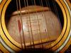 H1233_12strings_08.jpg
400x300 - (31 kb)