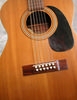 H1233_12strings_35.jpg
751x970 - (111 kb)