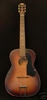 H1255_archtop_flatback_1933_01.jpg
186x400 - (10 kb)