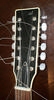 H1269_Regal_12strings_02.jpg
397x740 - (53 kb)