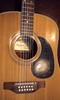 H1269_Regal_12strings_11.jpg
443x742 - (46 kb)