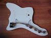 H15_pickguard_bobkat_1965_05.jpg
640x480 - (42 kb)