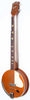 H281_Electro_Banjo_5_string_10.jpg
531x1796 - (64 kb)