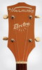 H281_Electro_Banjo_5_string_18.jpg
329x550 - (134 kb)