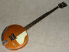 H281_Electro_Banjo_5_string_24.jpg
750x572 - (224 kb)