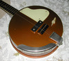 H281_Electro_Banjo_5_string_25.jpg
750x659 - (195 kb)