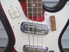 H426_bass_08.jpg
500x375 - (27 kb)