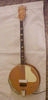 H81_banjo_electro_01.jpg
182x378 - (11 kb)