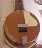 H81_banjo_electro_03.jpg
260x295 - (13 kb)