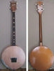 H81_banjo_electro_04.jpg
298x389 - (13 kb)