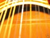 H912_stamped_H922_Stella_12string_04.jpg
400x300 - (19 kb)