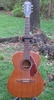 FE1030_Fender_H165_01.jpg - 244x450