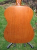 FE1030_Fender_H165_05.jpg - 341x455