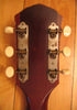 Fender_F1010_05.jpg - 558x797