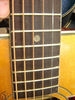 R230_Regal_H1203_05.jpg
300x400 - (20 kb)