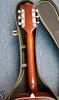 R230_Regal_H1203_07.jpg
230x388 - (24 kb)