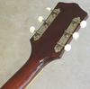 Regal_R235_H1260_08.jpg
465x462 - (42 kb)