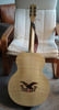 Rex_American_Eagle_03.jpg - 215x398