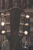 Commander_03.jpg
268x400 - (15 kb)