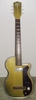 H42_1_Silvertone_Stratotone_Newport_01.jpg
286x800 - (19 kb)