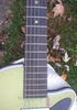 H42_Silvertone_Newport_03.jpg
721x1024 - (143 kb)