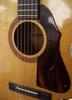 S1226_12string_Sivertone_1969_02.jpg