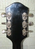 S1385_H63_Silvertone_03.jpg - 396x560