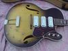 S1429_H75_Silvertone_03.jpg
640x480 - (74 kb)