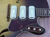 S1429_H75_Silvertone_06.jpg
640x480 - (79 kb)