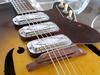S1429_H75_Silvertone_1959_02.jpg
450x338 - (34 kb)