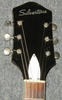 S1429_Silvertone_1964_04.jpg
369x598 - (47 kb)