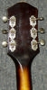 S1429_Silvertone_1964_05.jpg
352x678 - (57 kb)