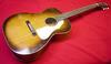 S602_H602_Silvertone_01.jpg - 789x460