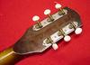 S602_H602_Silvertone_04.jpg - 701x506