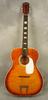 S615_Silvertone_01.jpg - 307x639