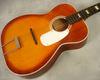 S615_Silvertone_02.jpg - 583x464