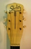 S702_Silvertone_02.jpg