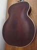S710_Silvertone_06.jpg
480x640 - (36 kb)