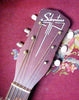 S710_Silvertone_1956_04.jpg
371x469 - (41 kb)