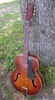 Silvertone_710_02.jpg
563x1024 - (173 kb)