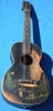 Supertone_248_Black_Knight_Minstrel_H1117_03.jpg - 383x795