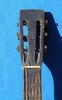 Supertone_248_Black_Knight_Minstrel_H1117_06.jpg - 398x638