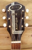 Roy_Smeck_8290_03.jpg - 501x778
