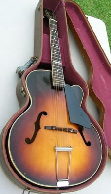Vega E200 Odell E200 guitar
