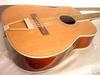 H1270_12strings_07.jpg
400x300 - (20 kb)