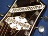 H1306_Cremona_VI_16.jpg
640x480 - (56 kb)