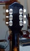 H1306_Cremona_VI_31.jpg
210x352 - (13 kb)